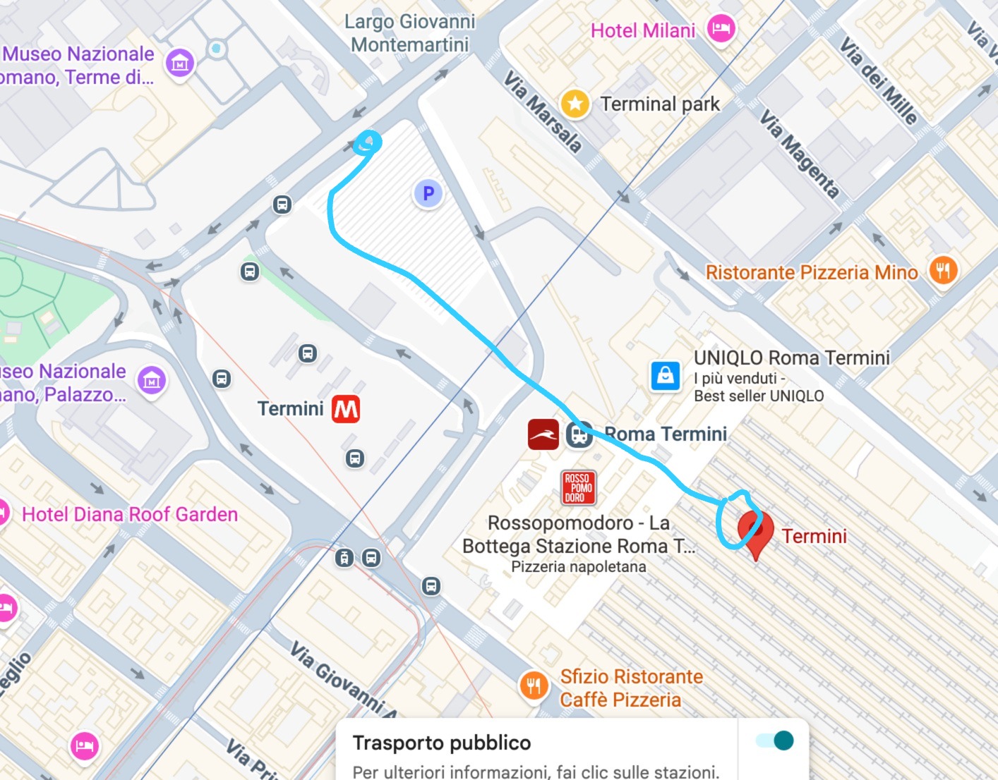 Termini Station Map
